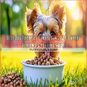 best dog food for yorkies