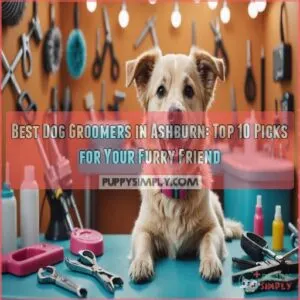 best dog groomers in [city name