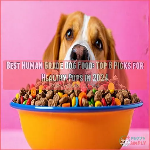 best human grade dog food