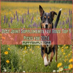 best joint supplements for dogs