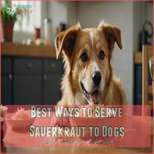 Best Ways to Serve Sauerkraut to Dogs