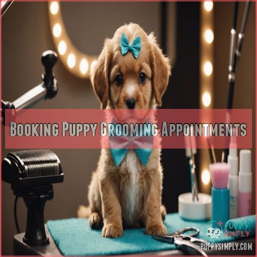 Booking Puppy Grooming Appointments