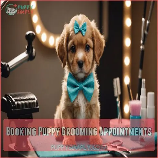 Booking Puppy Grooming Appointments