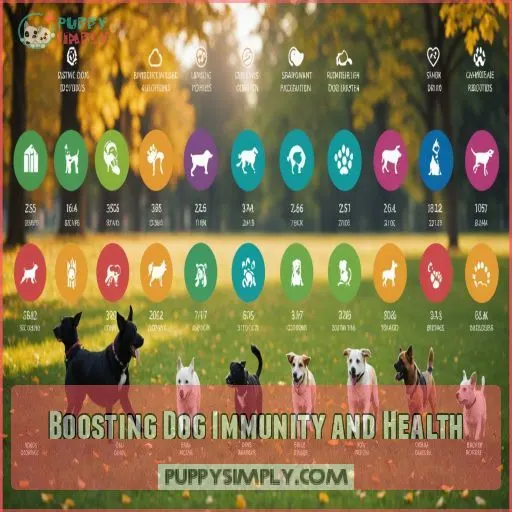 Boosting Dog Immunity and Health