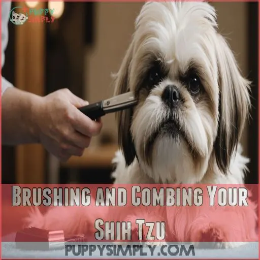 Brushing and Combing Your Shih Tzu