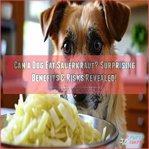 can a dog eat sauerkraut