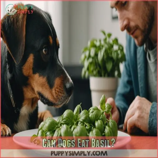 can dogs eat basil