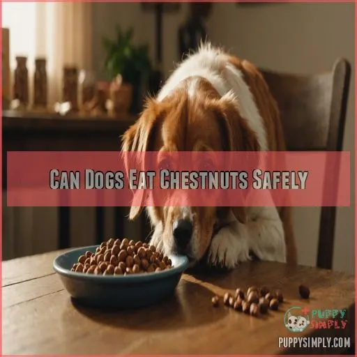 Can Dogs Eat Chestnuts Safely