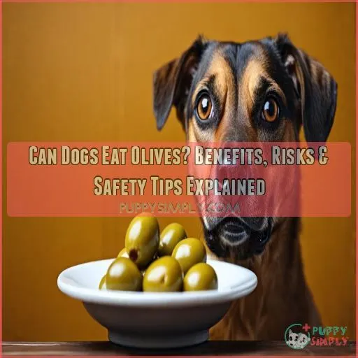 can dogs eat olives