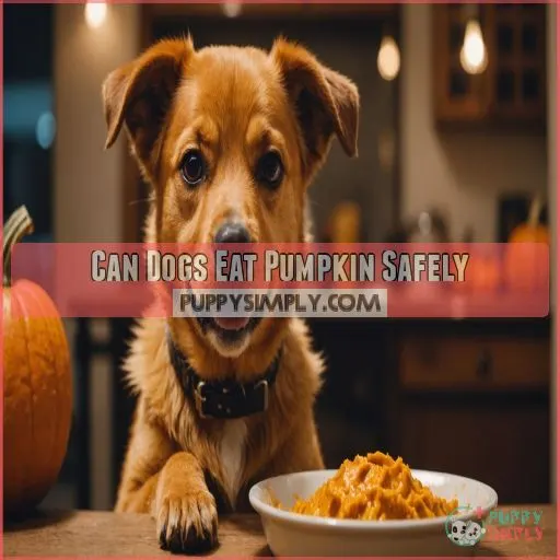 Can Dogs Eat Pumpkin Safely