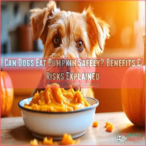 can dogs eat pumpkin