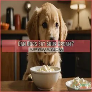 Can Dogs Eat Sour Cream