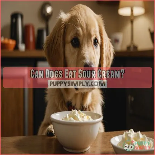 can dogs eat sour cream