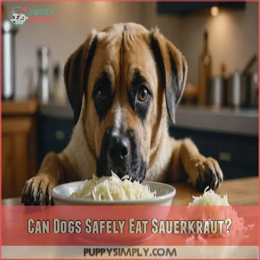 Can Dogs Safely Eat Sauerkraut