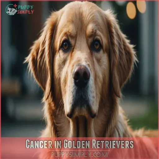 Cancer in Golden Retrievers