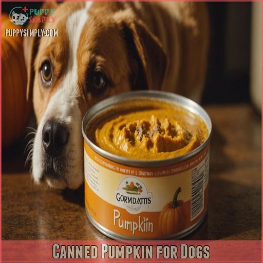 Canned Pumpkin for Dogs