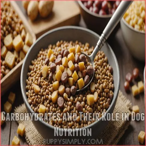 Carbohydrates and Their Role in Dog Nutrition