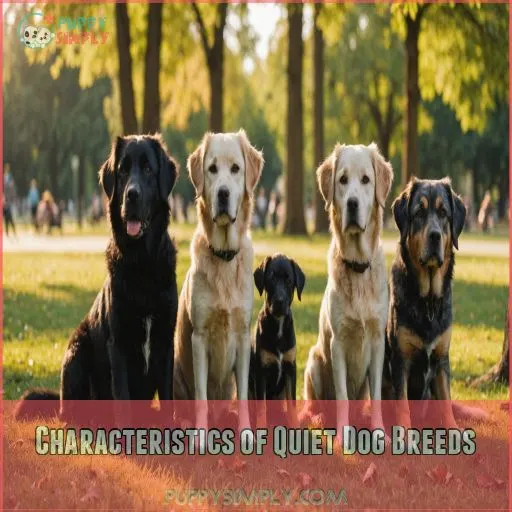 Characteristics of Quiet Dog Breeds