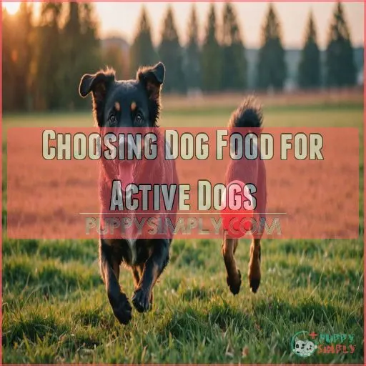 Choosing Dog Food for Active Dogs