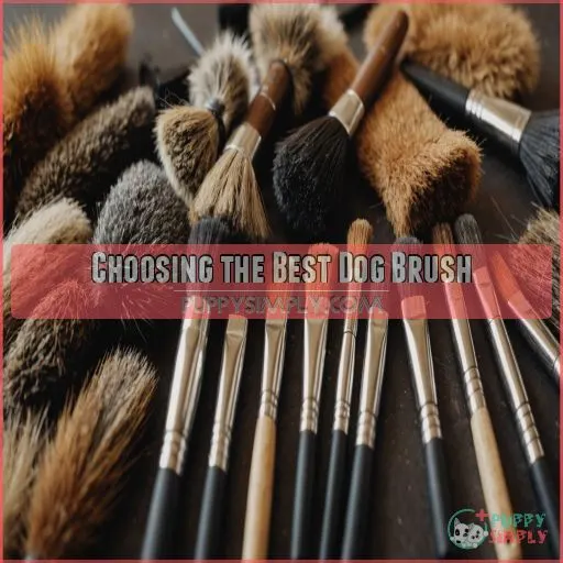 Choosing the Best Dog Brush