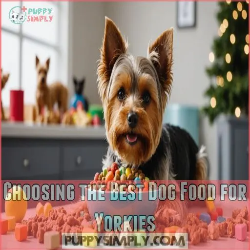 Choosing The Best Dog Food for Yorkies