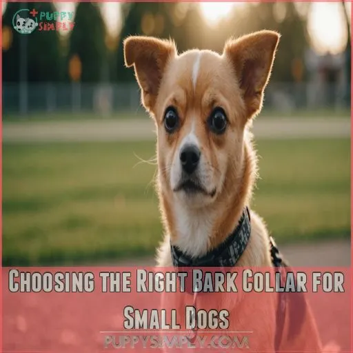 Choosing the Right Bark Collar for Small Dogs