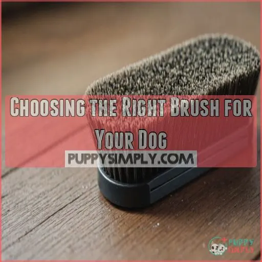 Choosing the Right Brush for Your Dog