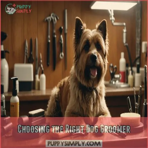 Choosing the Right Dog Groomer