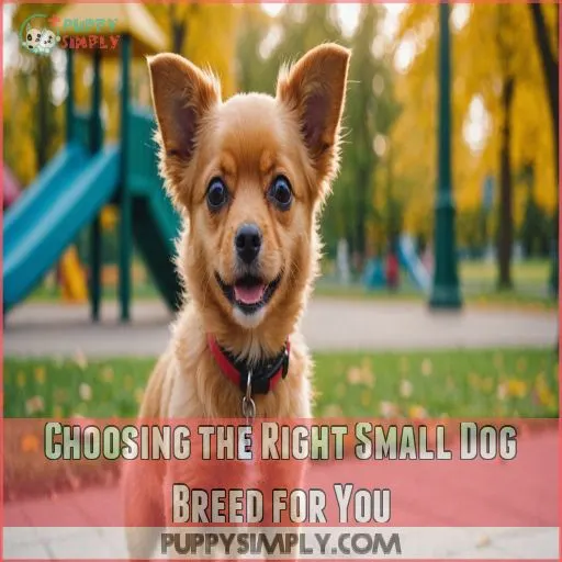 Choosing the Right Small Dog Breed for You