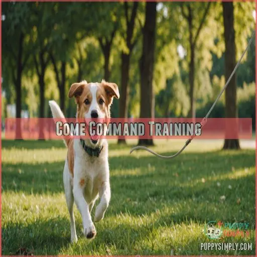 Come Command Training