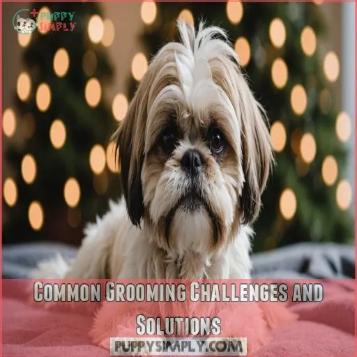 Common Grooming Challenges and Solutions