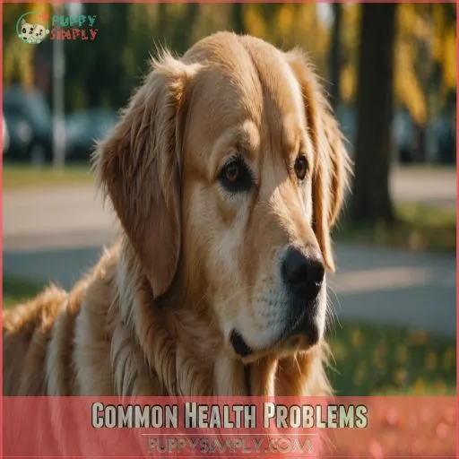 Common Health Problems