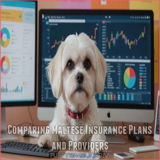 Comparing Maltese Insurance Plans and Providers