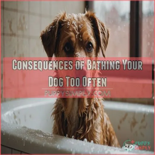 Consequences of Bathing Your Dog Too Often