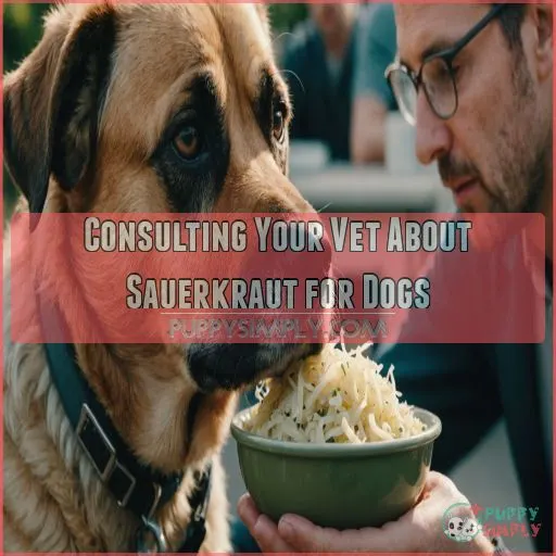 Consulting Your Vet About Sauerkraut for Dogs