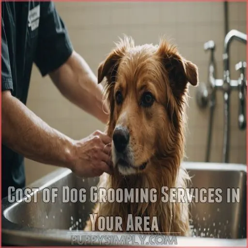 Cost of Dog Grooming Services in Your Area