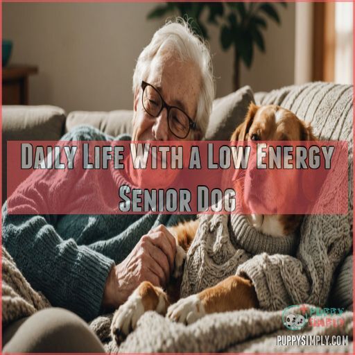 Daily Life With a Low Energy Senior Dog Daily Life With a Low Energy Senior Dog