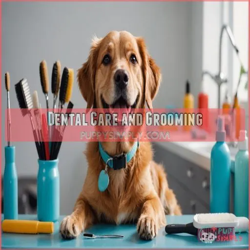 Dental Care and Grooming