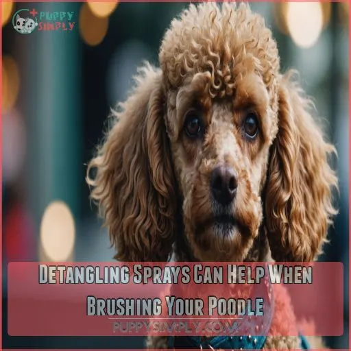 Detangling Sprays Can Help When Brushing Your Poodle