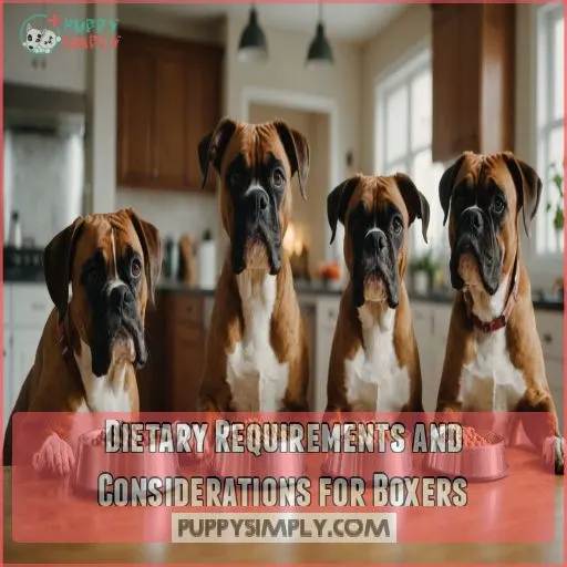 Dietary Requirements and Considerations for Boxers