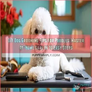 diy dog grooming tips for poodles