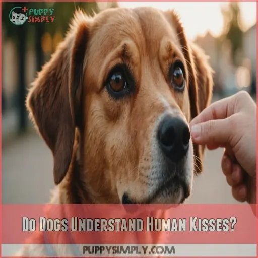 Do Dogs Understand Human Kisses