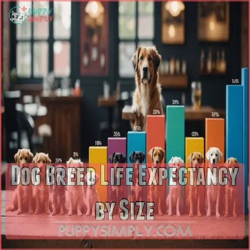 Dog Breed Life Expectancy by Size