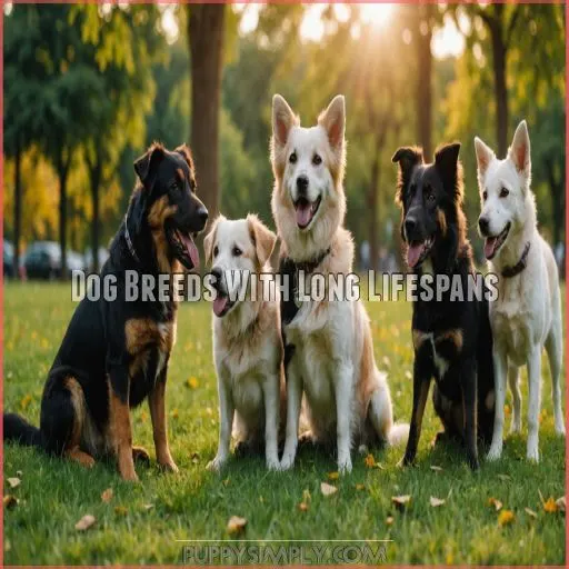 Dog Breeds With Long Lifespans