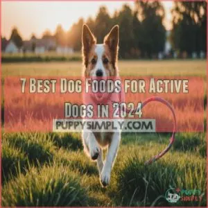 dog food brands for active dogs