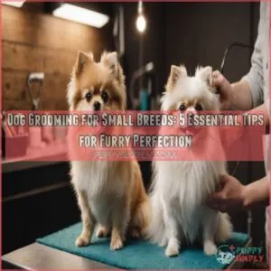 dog grooming for small breeds