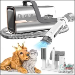 Dog Grooming Kit & Dog