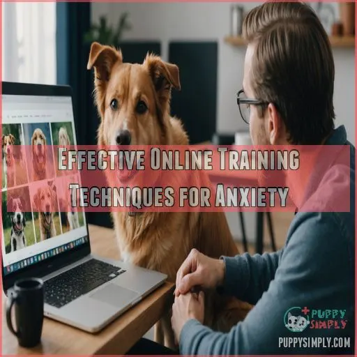 Effective Online Training Techniques for Anxiety