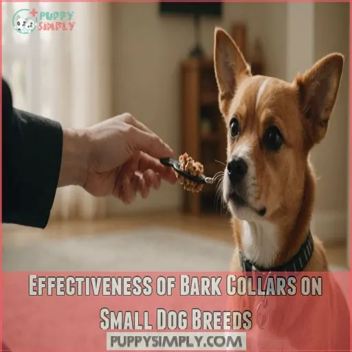 Effectiveness of Bark Collars on Small Dog Breeds