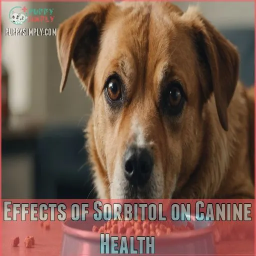 Effects of Sorbitol on Canine Health